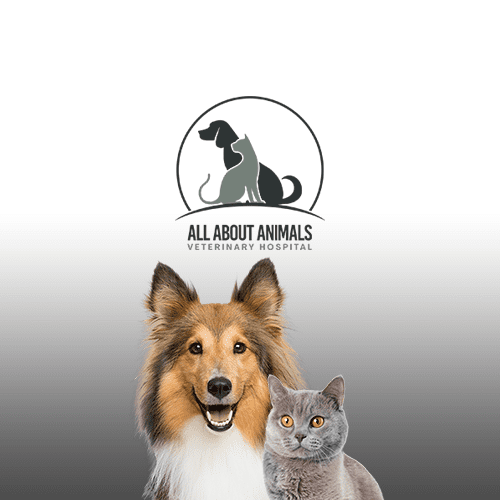 All About Animals Veterinary Hospital logo